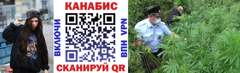 купить наркотик  Фатеж  KRAKEN ТОР  Марихуана VHQ 